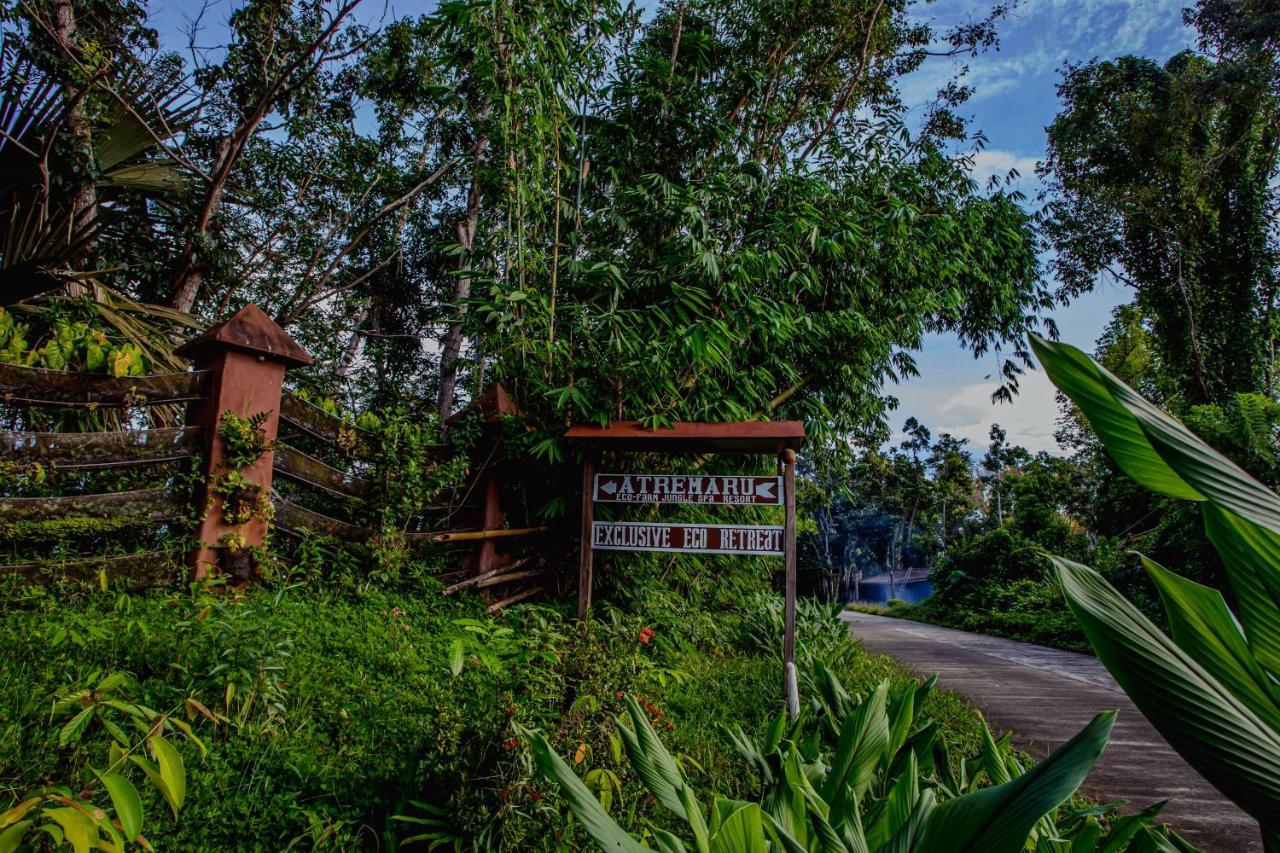 Hotel Atremaru Jungle Retreat Puerto Princesa Exteriér fotografie